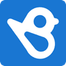 Birdeye Logo